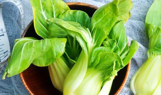 小油菜凉拌怎么做好吃（凉拌小油菜怎么做才好吃）