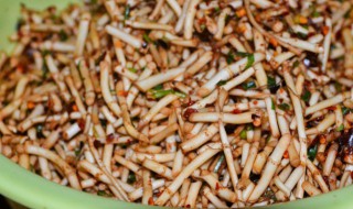 鱼腥草怎么做凉拌好吃（凉拌鱼腥草怎么做才好吃）