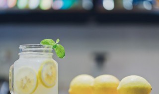 薄荷怎么吃好（薄荷怎么吃好处多方法）