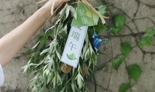 端午节门口怎么挂艾草 端午节门口怎样挂艾草