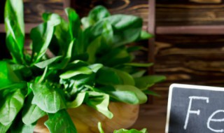 菠菜怎么存放时间长（菠菜如何保存时间更长）