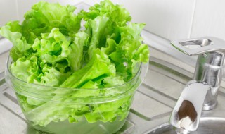 生菜怎么吃好（生菜怎么吃好吃还减肥）