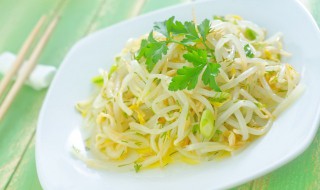 绿豆芽怎么发芽（绿豆芽怎么发芽的过程图片）