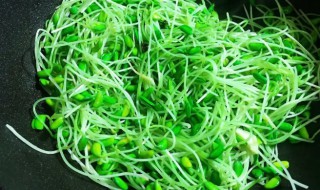 黑豆芽怎么炒（黑豆芽怎么炒好吃）