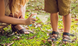 夏季驱蚊有哪些妙招(夏季如何有效驱蚊)