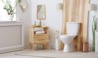 厕所虫子怎么清除 厕所里的虫子怎么根除