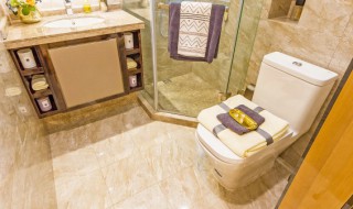 厕所苍蝇太多怎么处理 厕所太多苍蝇如何处理