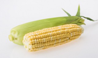 电磁炉煮玉米大概要煮多久才熟 电磁炉煮玉米大概要煮多久才熟呢