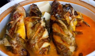 黄骨鱼吃什么食物(家养黄骨鱼吃什么食物)