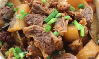 牛腩煲白萝卜的简单做法 牛腩白萝卜煲汤