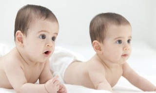 有古风的名字（比较有古风的名字）