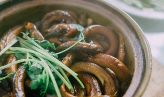 鳝鱼吃什么食物（鳝鱼吃什么食物,一次吃多少）