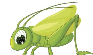 蝗虫吃什么食物 蝗虫吃什么食物长得快