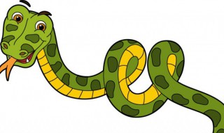 蛇爱吃什么食物 蛇爱吃什么食物视频