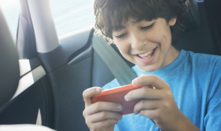 口袋妖怪什么克制飞行系 口袋妖怪中什么克制飞行系