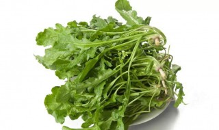 荠菜的吃法有哪些（荠菜的吃法有几种）