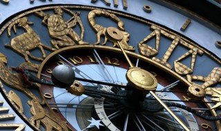 属鼠的人适合养什么宠物 属鼠的人养什么动物好最好