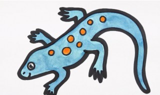 壁虎喜欢吃什么食物 壁虎最喜欢吃什么东西