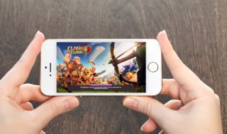 qq飞车什么宠物适合道具 扣扣飞车道具用啥宠物比较好