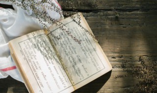 唯美的古风小说名字(唯美的古风书名)