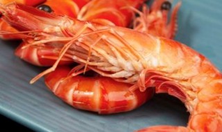 黑壳虾吃什么食物（黑壳虾最喜欢吃什么食物）