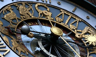 属马适合养什么植物 属马适合养什么植物旺桃花运