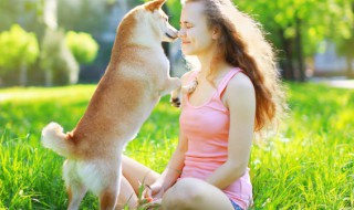 什么生肖适合养狗（什么生肖适合养狗旺运）