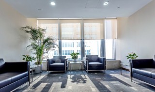 北方楼房适合养什么花 北方楼房适合养什么花图片