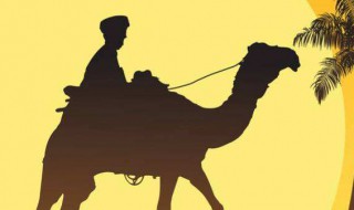 骆驼吃什么食物(骆驼吃什么食物最好)