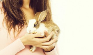 小兔子吃什么食物最好 小兔子应该吃些什么