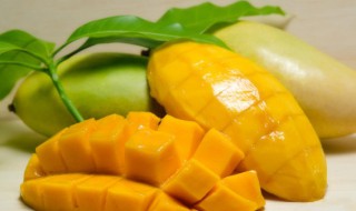 青芒果怎么放熟放多久 青芒果怎样放置才能熟呢