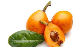 新鲜枇杷怎样存放 枇杷怎么保存比较新鲜