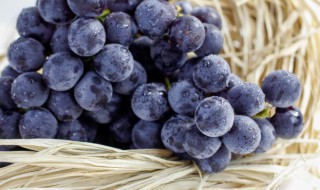 葡萄施什么肥料好（葡萄施什么肥好?）