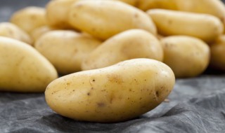 土豆施肥用什么肥料（土豆施用什么肥料效果好）