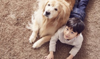 小孩子适合养什么宠物（小孩子适合养什么宠物?）