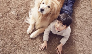 儿童适合养什么宠物 儿童适合养什么宠物?