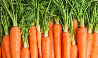 红萝卜怎么炒才好吃 怎样炒红萝卜丝