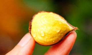 板栗割破后可以放在微波炉里做吗（切开的板栗可以放微波炉吗）