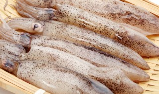 冻鱿鱼片怎么做才好吃呢（冻鱿鱼怎样做好吃）