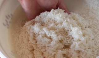 陈米怎么煮才好吃（陈米怎么煮米饭更好吃）