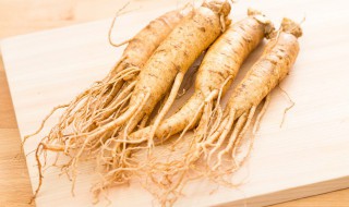 室内人参种子怎么催芽 人参种子在家怎么催芽