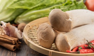 杏鲍菇凉拌的正宗做法 杏鲍菇凉拌怎么做?