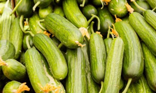 丝瓜种子怎么催芽 丝瓜种子怎么催芽和种植