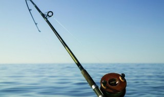 鱼竿什么材质的好（什么材质的鱼竿比较好）