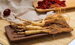 人参种子怎么催芽 人参种子怎么催芽视频