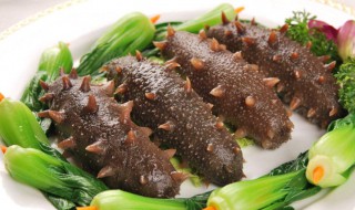 凉拌熟海参的正宗做法 凉拌海参做法大全家常窍门