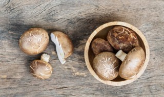 炒香菇怎么做好吃又嫩 怎样炒香菇更好吃