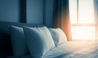 什么材质的床好（什么材质的床好?）