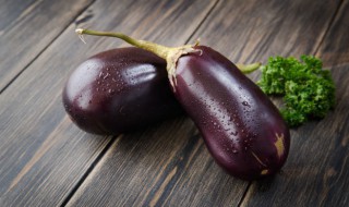 茄子催芽浸泡种子需多少时间 茄子育苗浸泡种子时间和方法