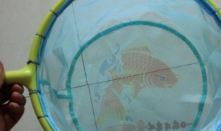 抄网什么材质的好（抄网网布哪种材质的耐用）